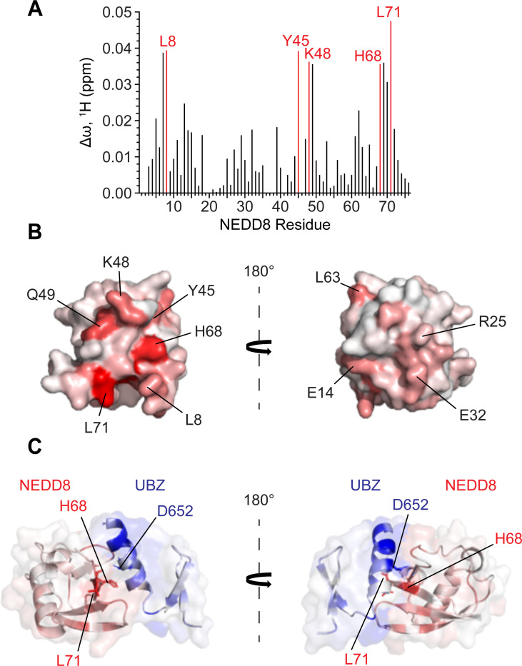 Figure 5: