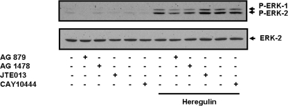 FIGURE 9.