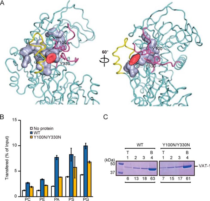 Figure 3.