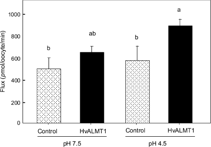 Fig. 7.