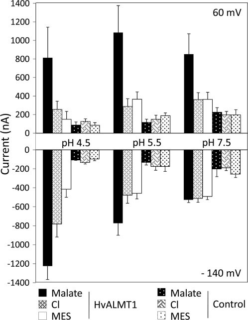 Fig. 5.