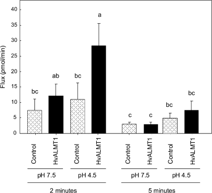 Fig. 6.