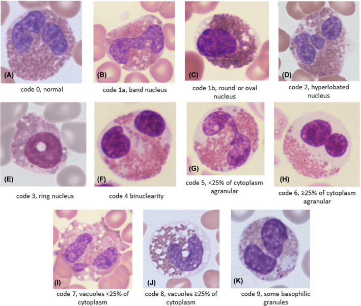 Fig 2