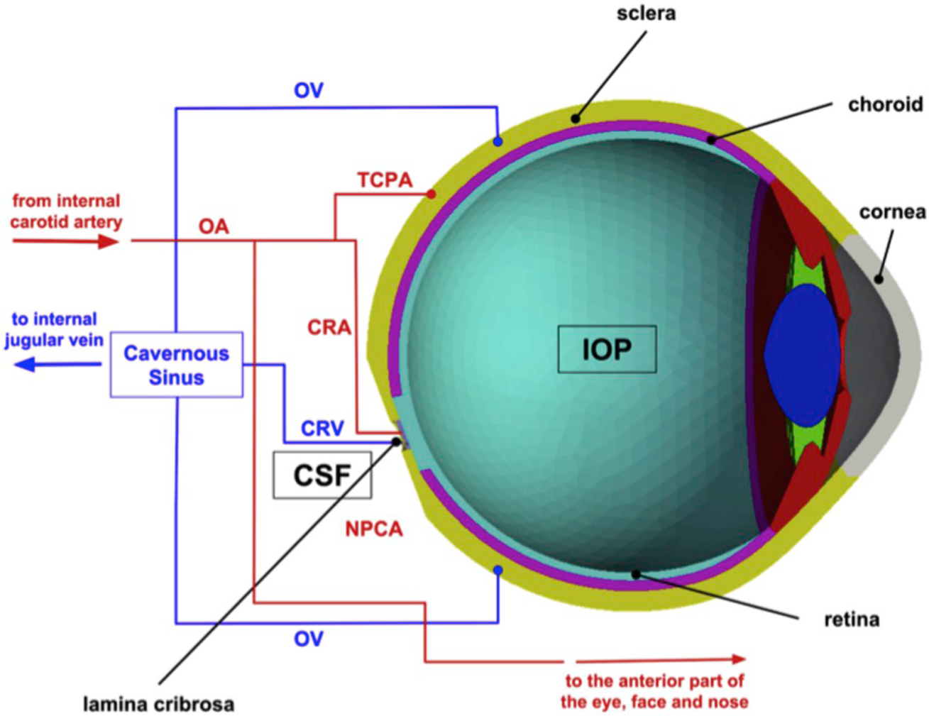 Fig. 5.