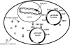 FIG. 1.