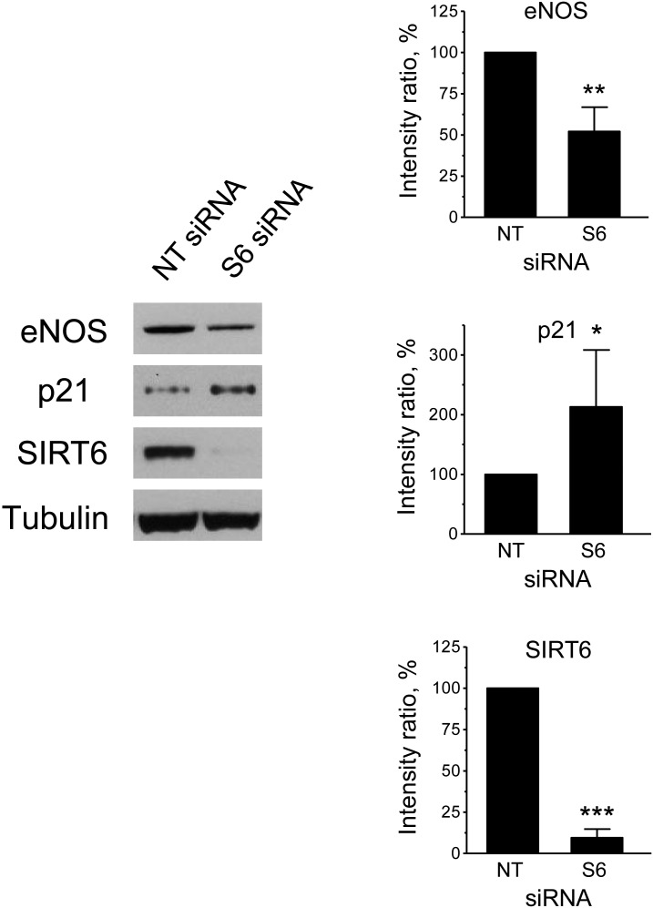 Figure 6