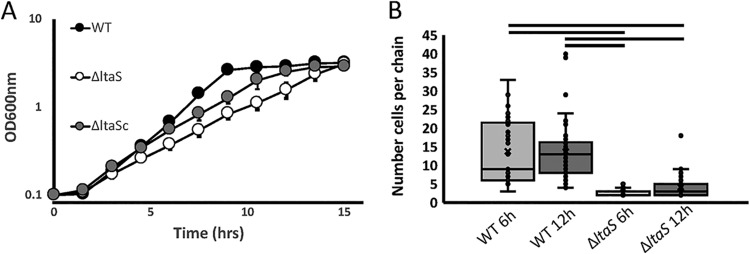 FIG 3