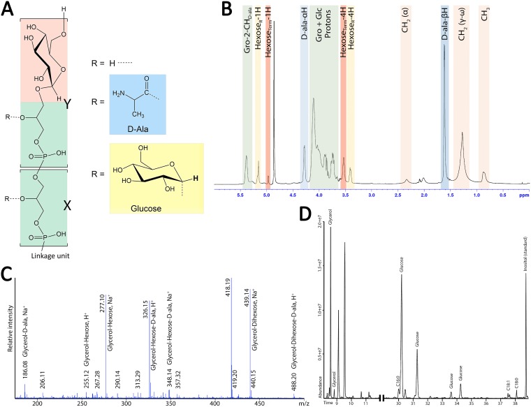 FIG 2