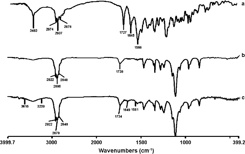 Fig. 3