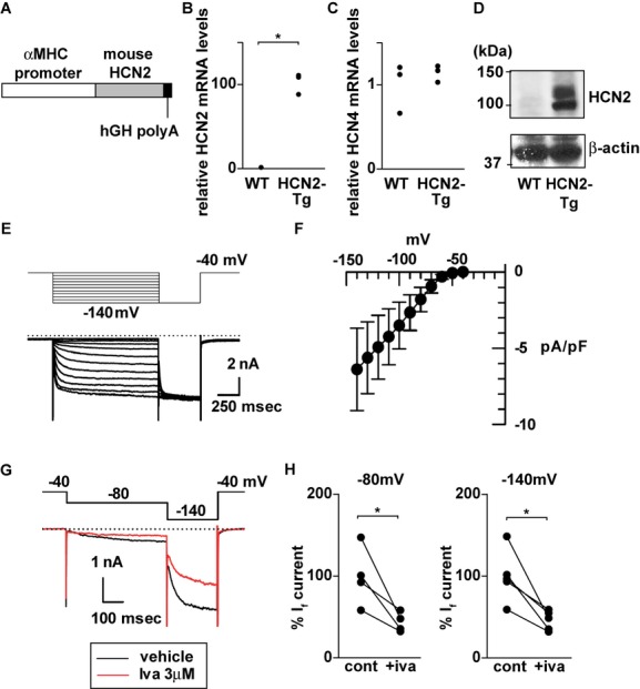 Figure 6.