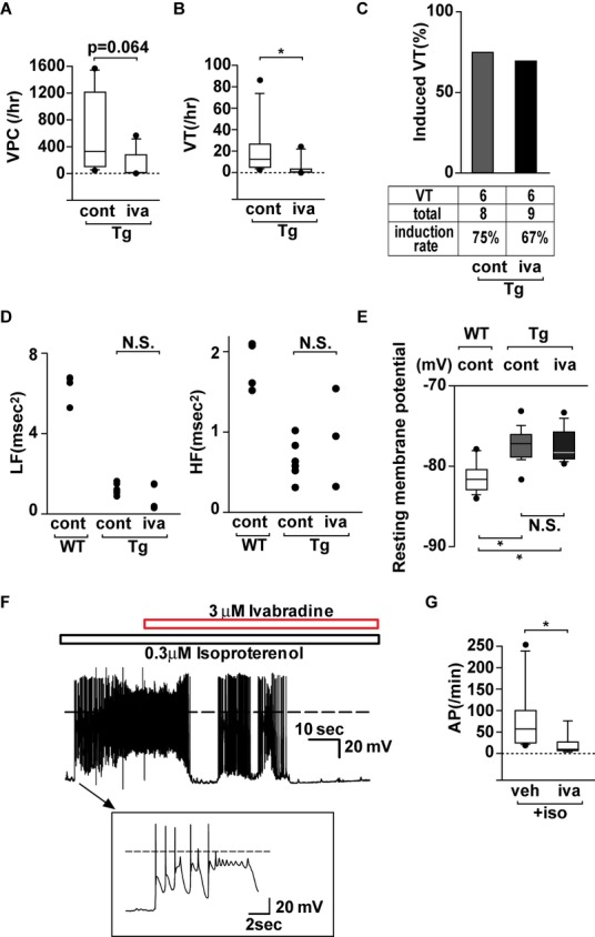 Figure 5.