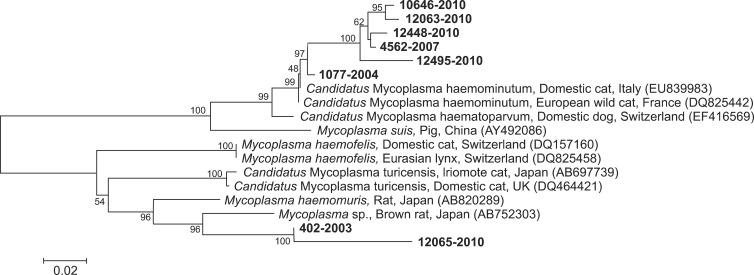 Fig. 2