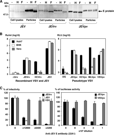 FIG. 2.