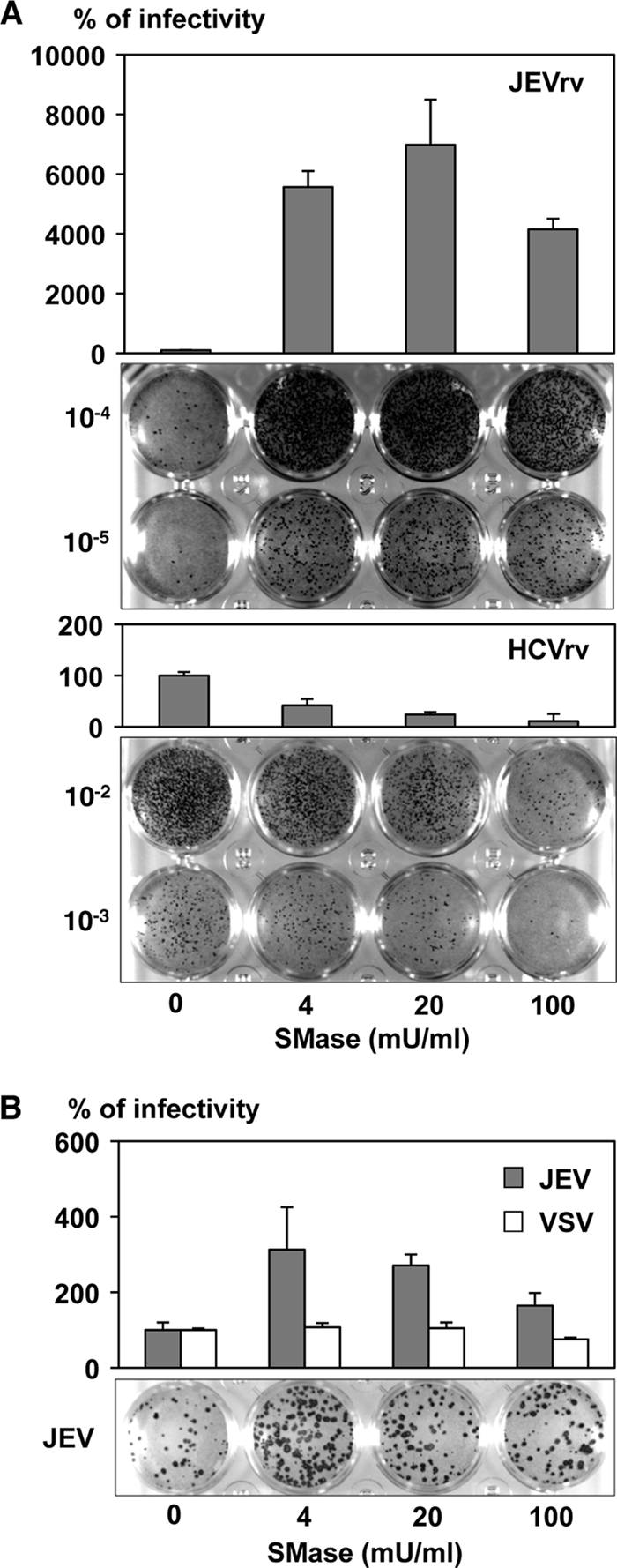 FIG. 6.