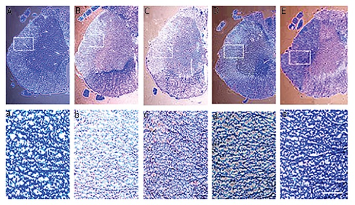 Fig.2