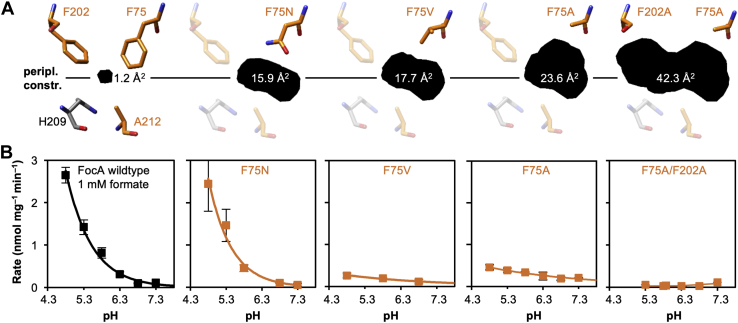 Figure 3