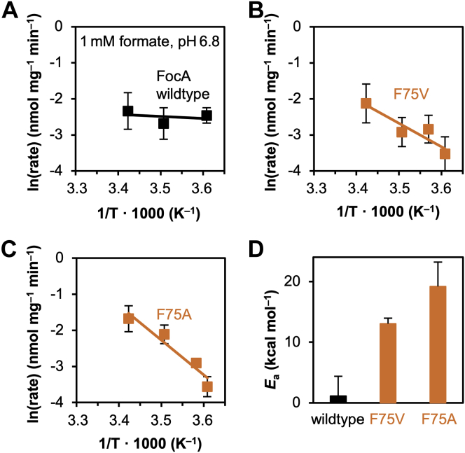 Figure 5