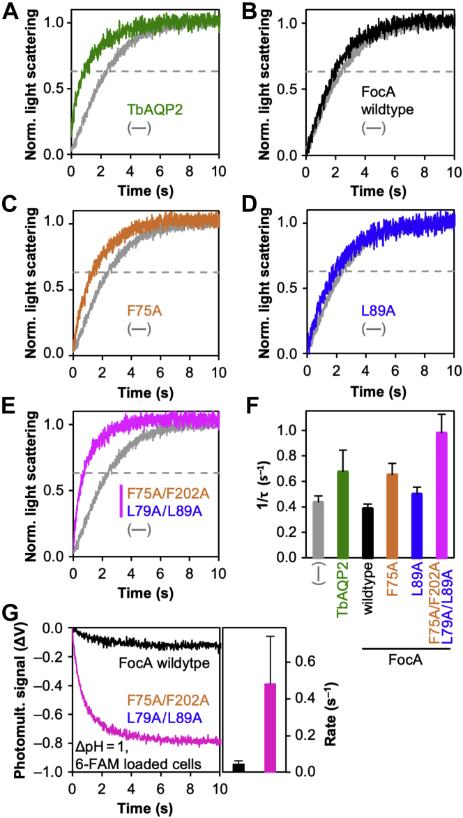 Figure 6