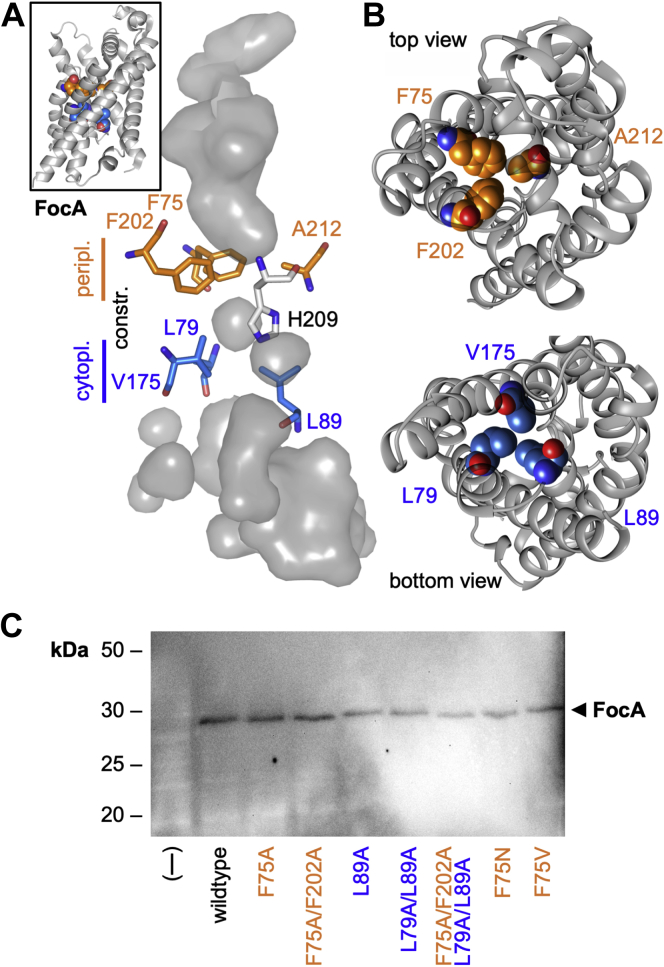 Figure 1