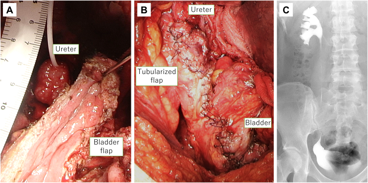 Fig. 3