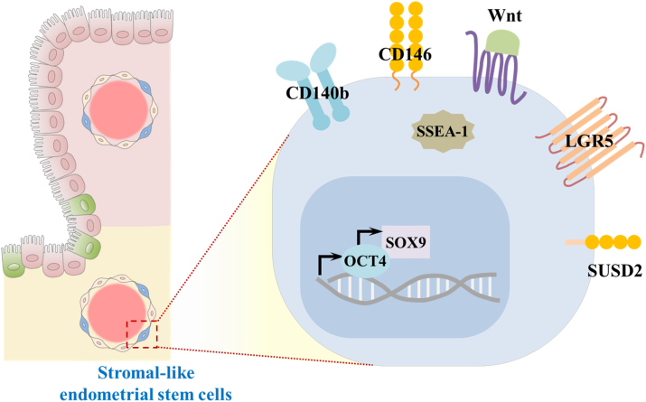 Figure 4