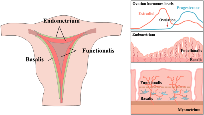 Figure 1