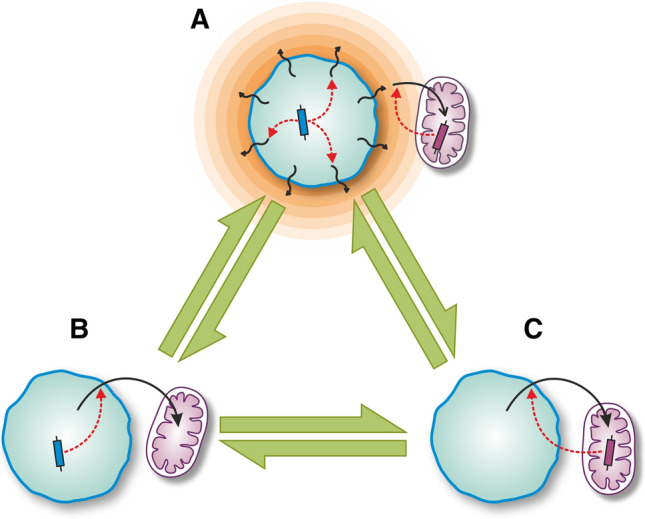 Fig. 3