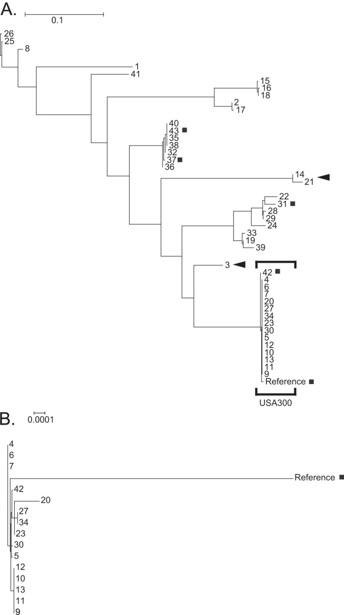 FIG 3