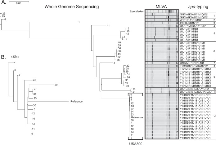 FIG 1