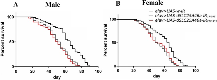 Fig. 9