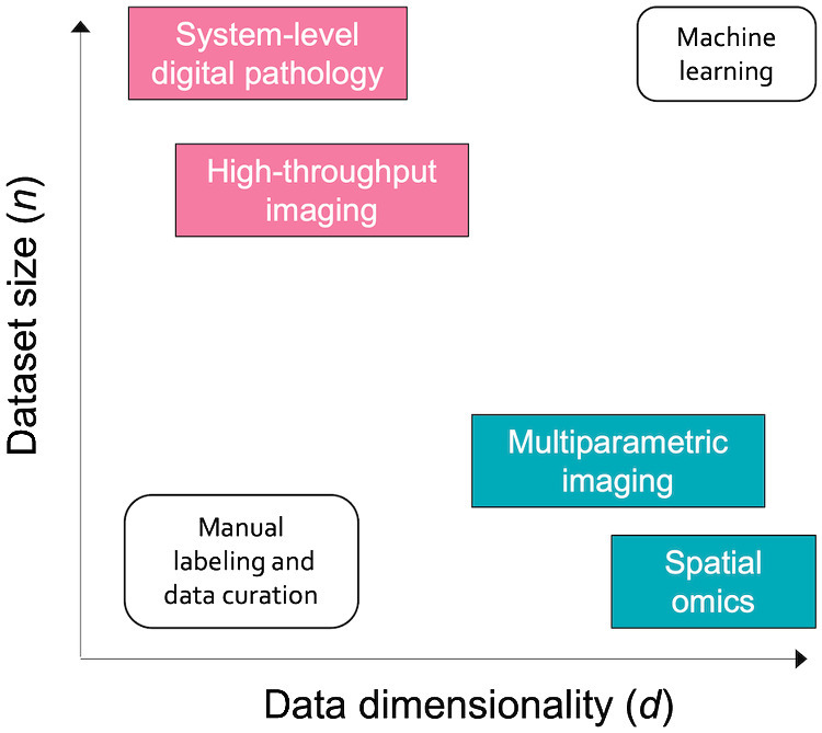 Figure 1. "Big Data" in biomedical imaging scales along two orthogonal axes: dataset size (n), which captures the number of data points (i.e., cases) in each dataset, and data dimensionality (d), which refers to the amount of data captured in each data point.