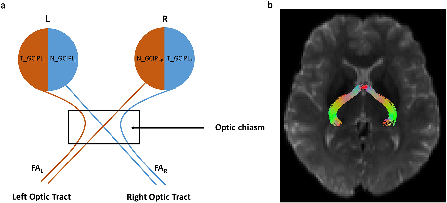 Figure 2: