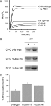 FIG 5