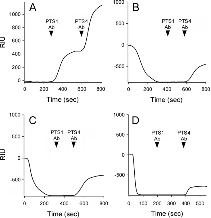 FIG 2