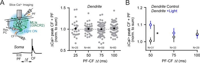 Figure 5—figure supplement 2.