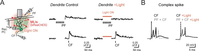 Figure 6—figure supplement 1.