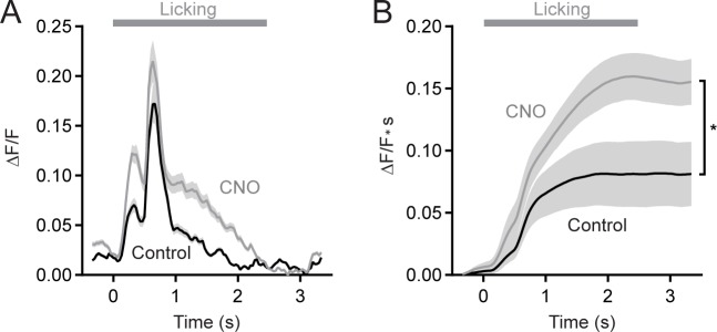 Figure 2—figure supplement 2.