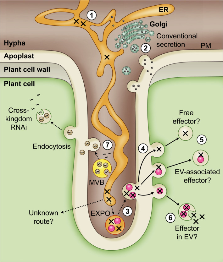 Fig. 4