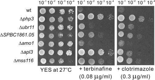 Fig 2