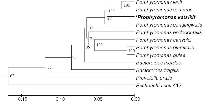 FIG 2