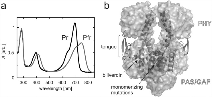 FIG. 1.