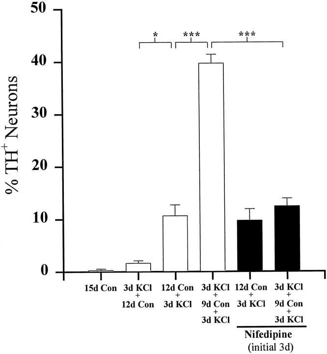 Fig. 10.