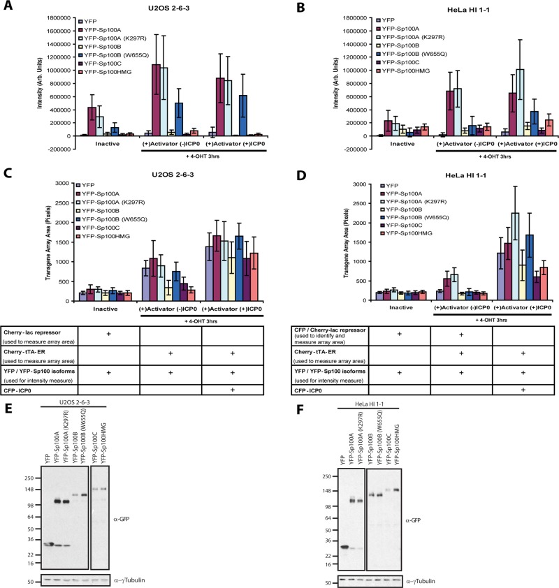 FIGURE 4: