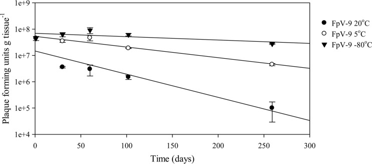 FIG 6