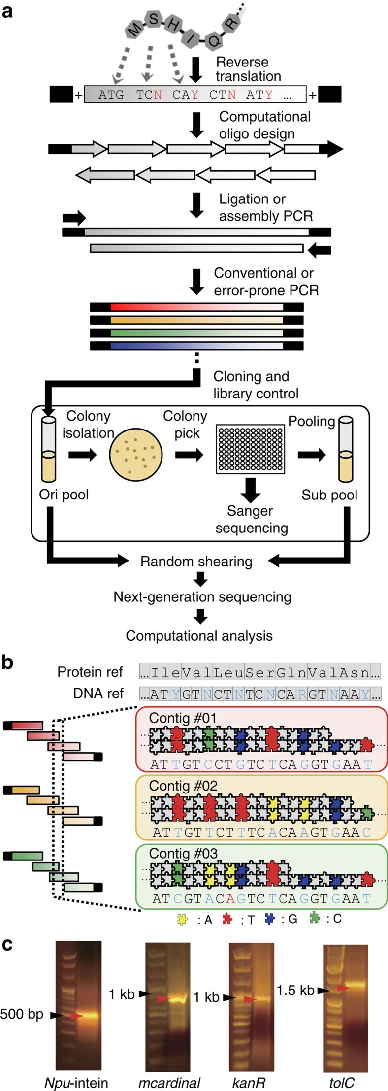 Figure 1