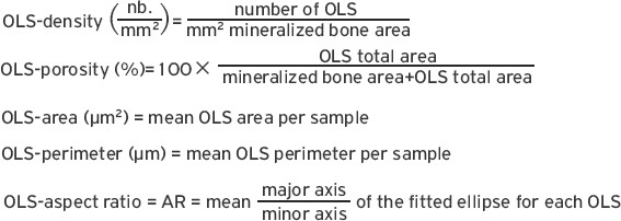 graphic file with name JMNI-19-196-g002.jpg