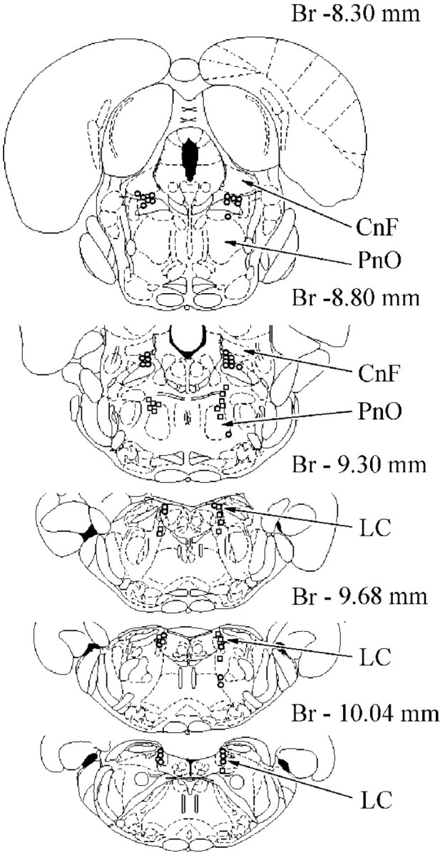 Fig. 7.