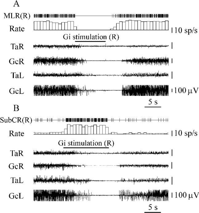 Fig. 9.