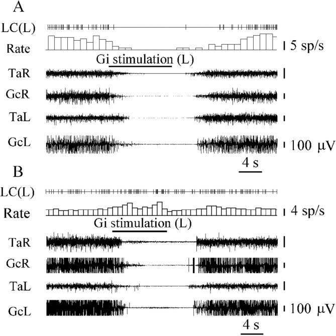 Fig. 8.