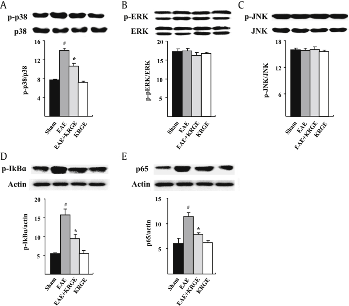 Fig. 4